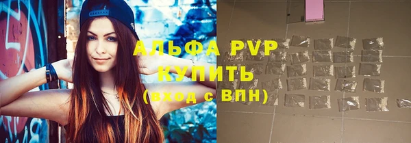 прущие грибы Саяногорск