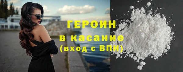прущие грибы Саяногорск