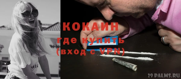 прущие грибы Саяногорск