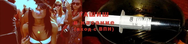 прущие грибы Саяногорск