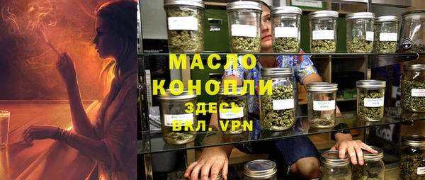 прущие грибы Саяногорск