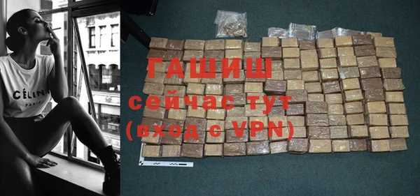 прущие грибы Саяногорск