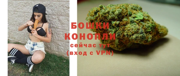 твердый Инсар