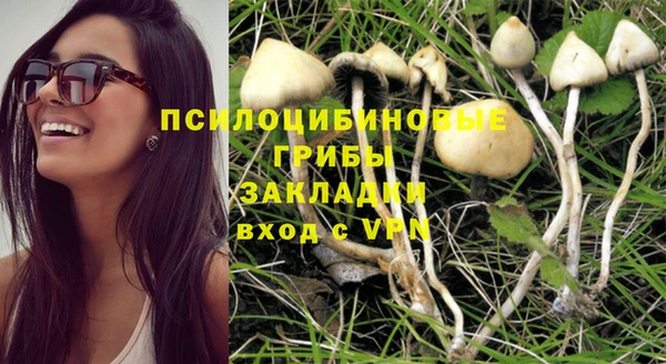 прущие грибы Саяногорск